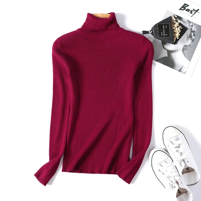 Long Sleeve Knitted Turtleneck