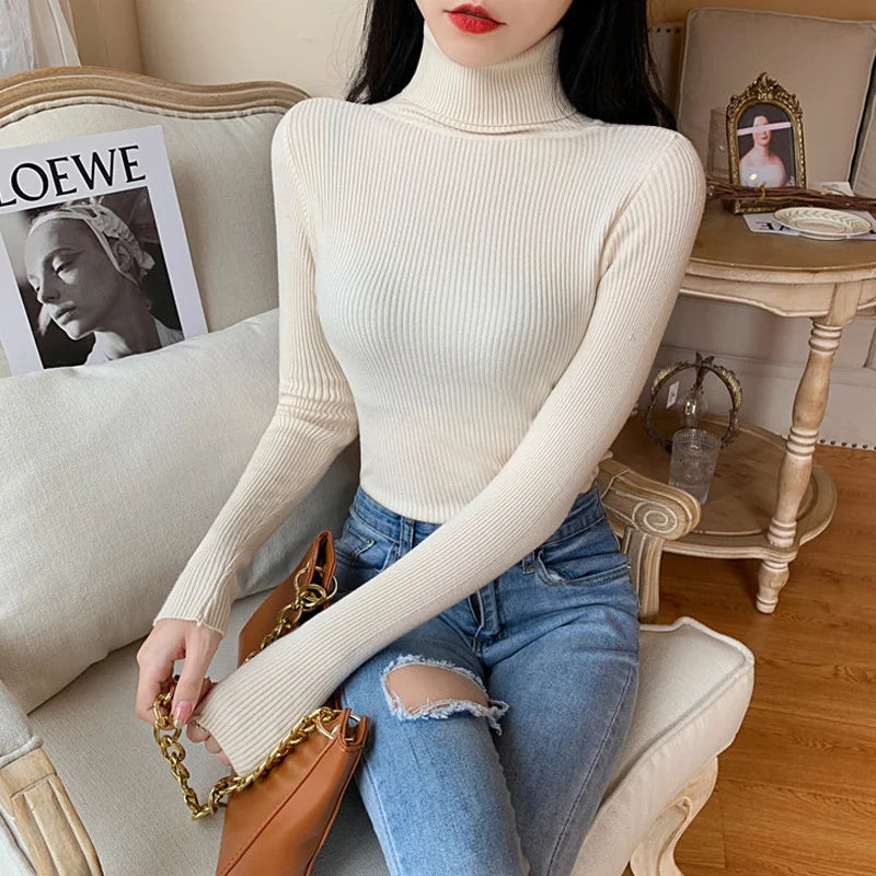 Long Sleeve Knitted Turtleneck