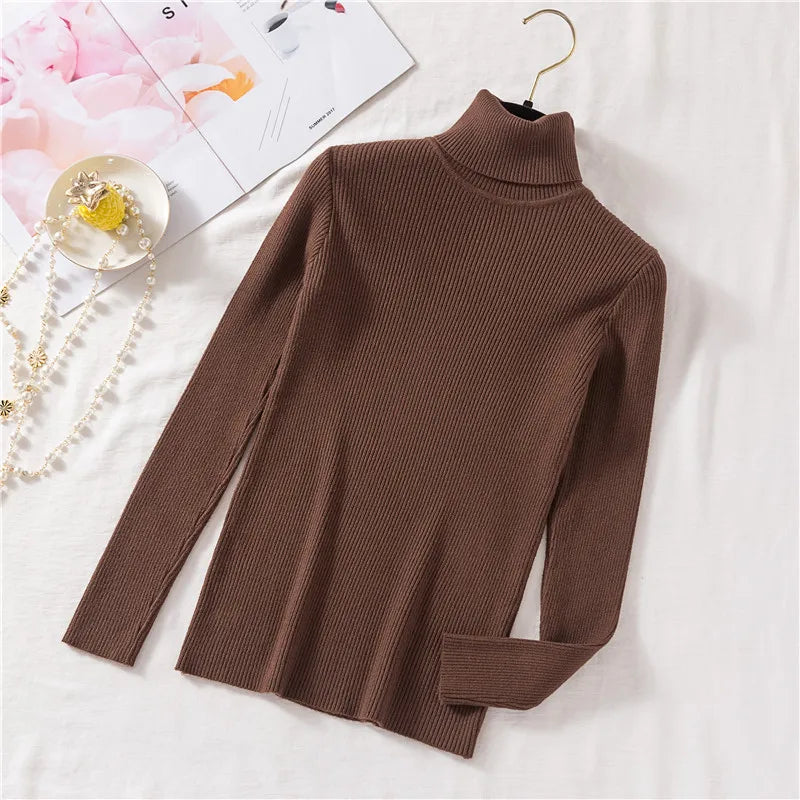 Long Sleeve Knitted Turtleneck