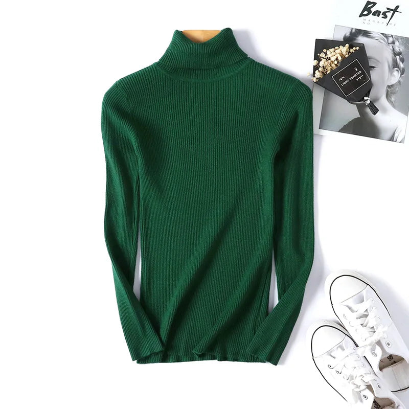 Long Sleeve Knitted Turtleneck