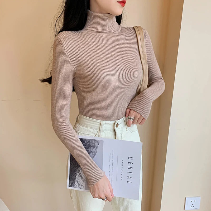 Long Sleeve Knitted Turtleneck